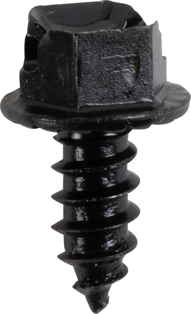 AMA Race Legal Traction Screws