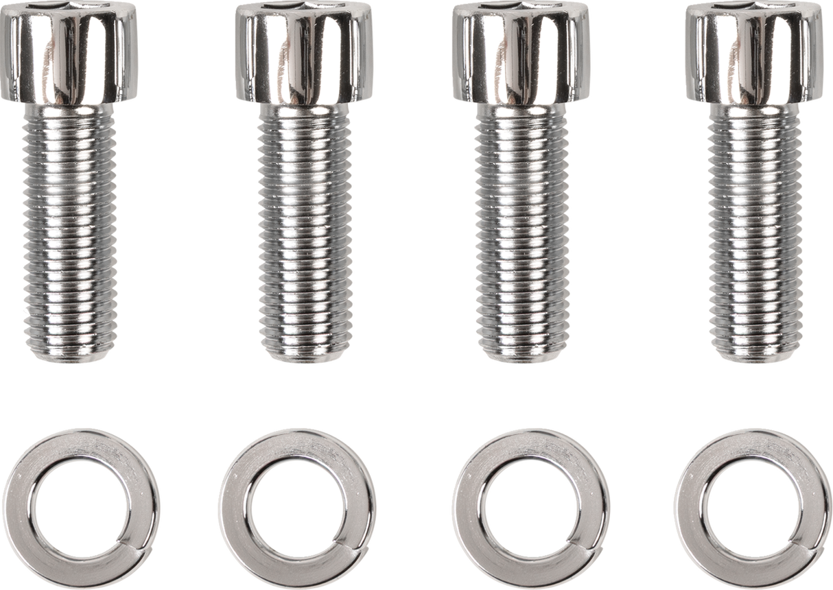 Socket Head Swingarm End Cap Bolt Kit