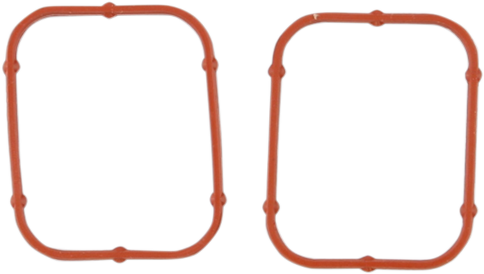 Rocker Gasket