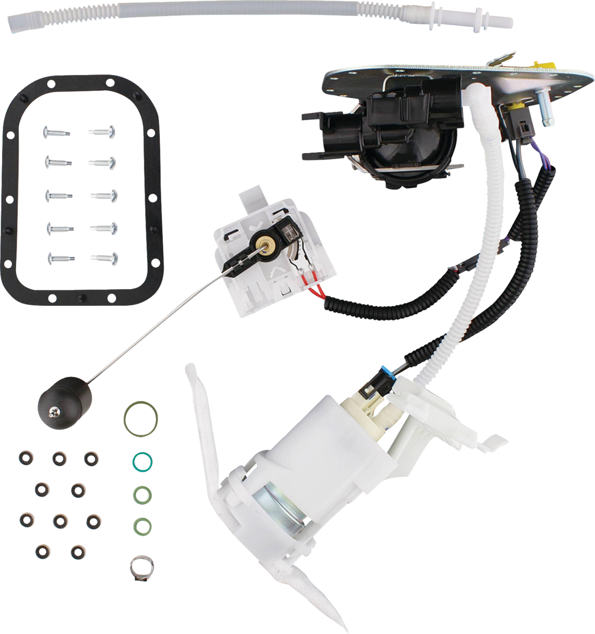 Fuel Pump Module Assembly