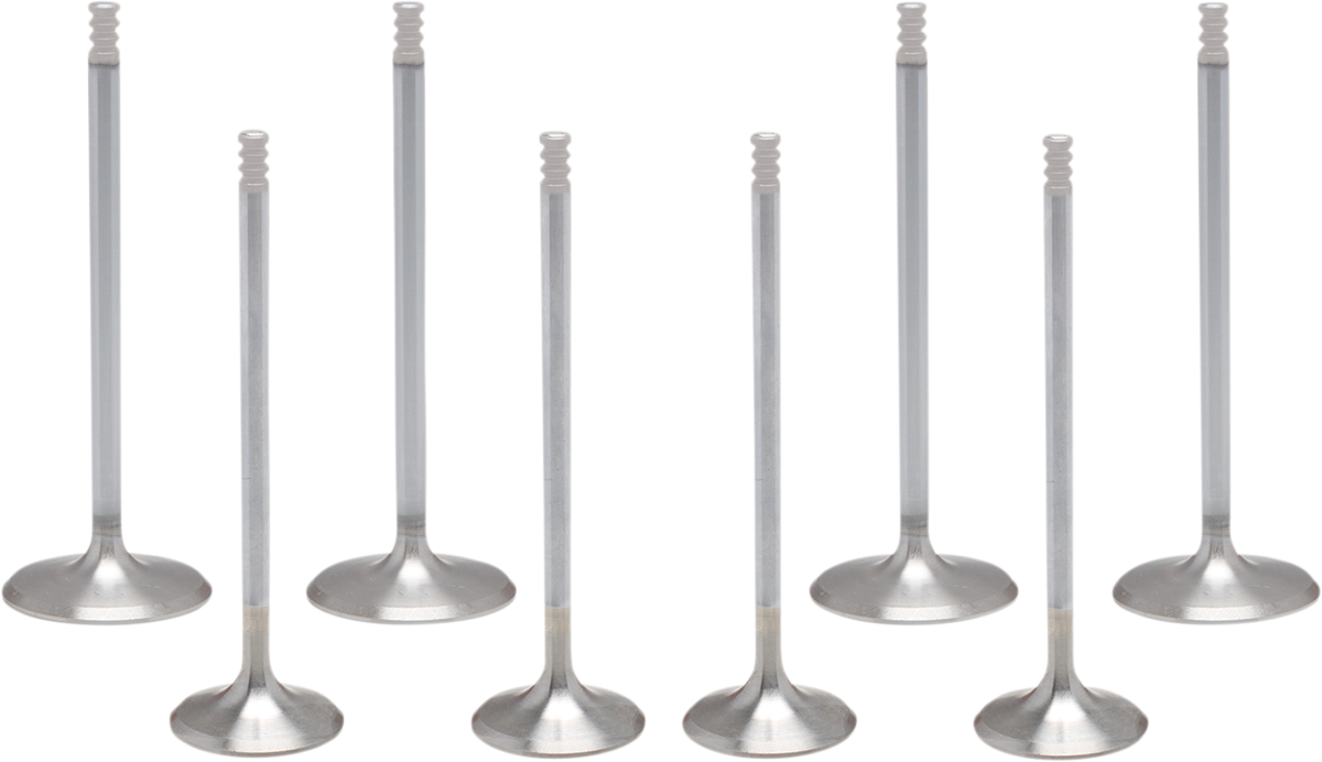 White Diamond® Valve Kit