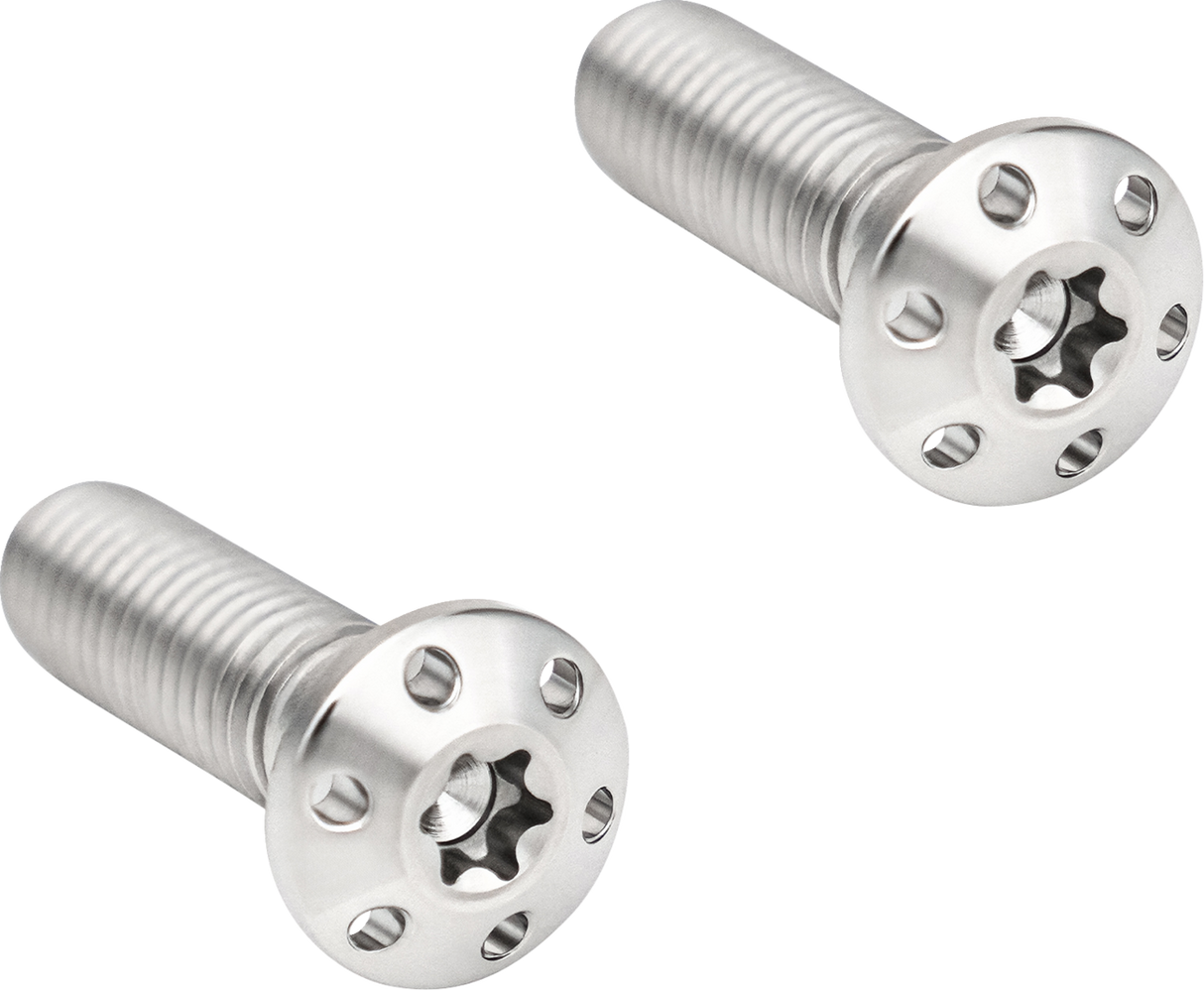 Brake Caliper Mounting Bolts