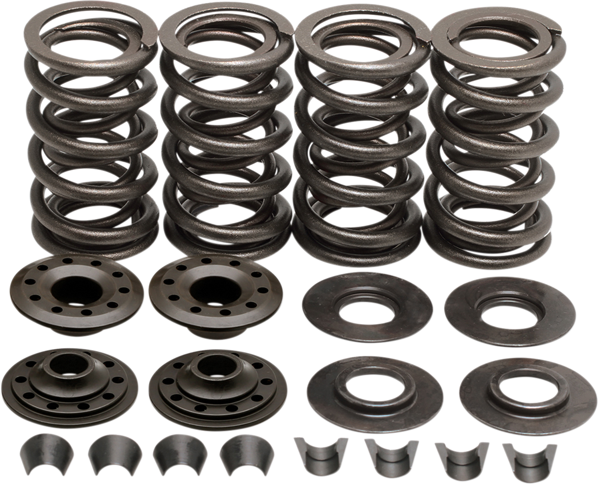 Racing Valve Spring Kit