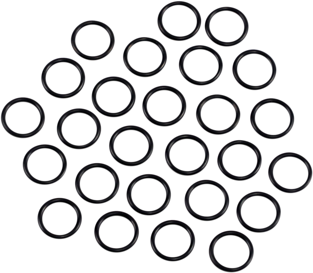 Oil Pump O-Ring