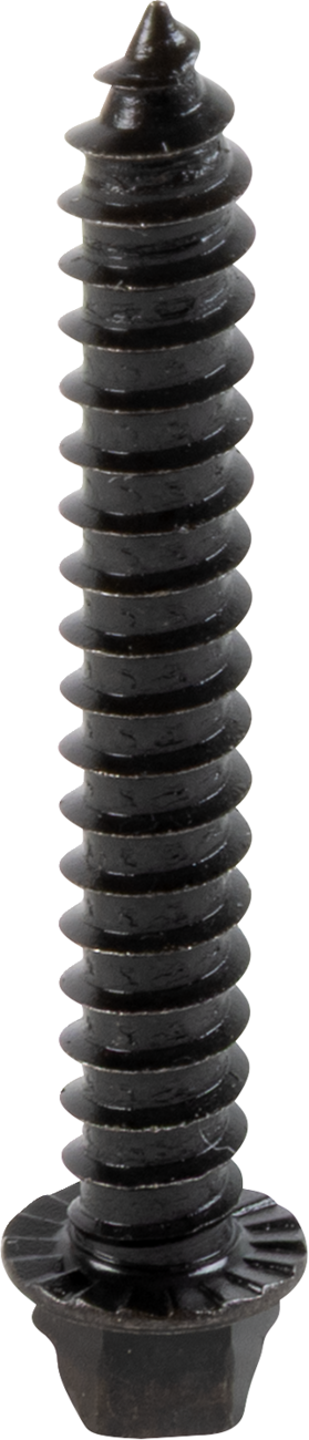 AMA Race Legal Traction Screws