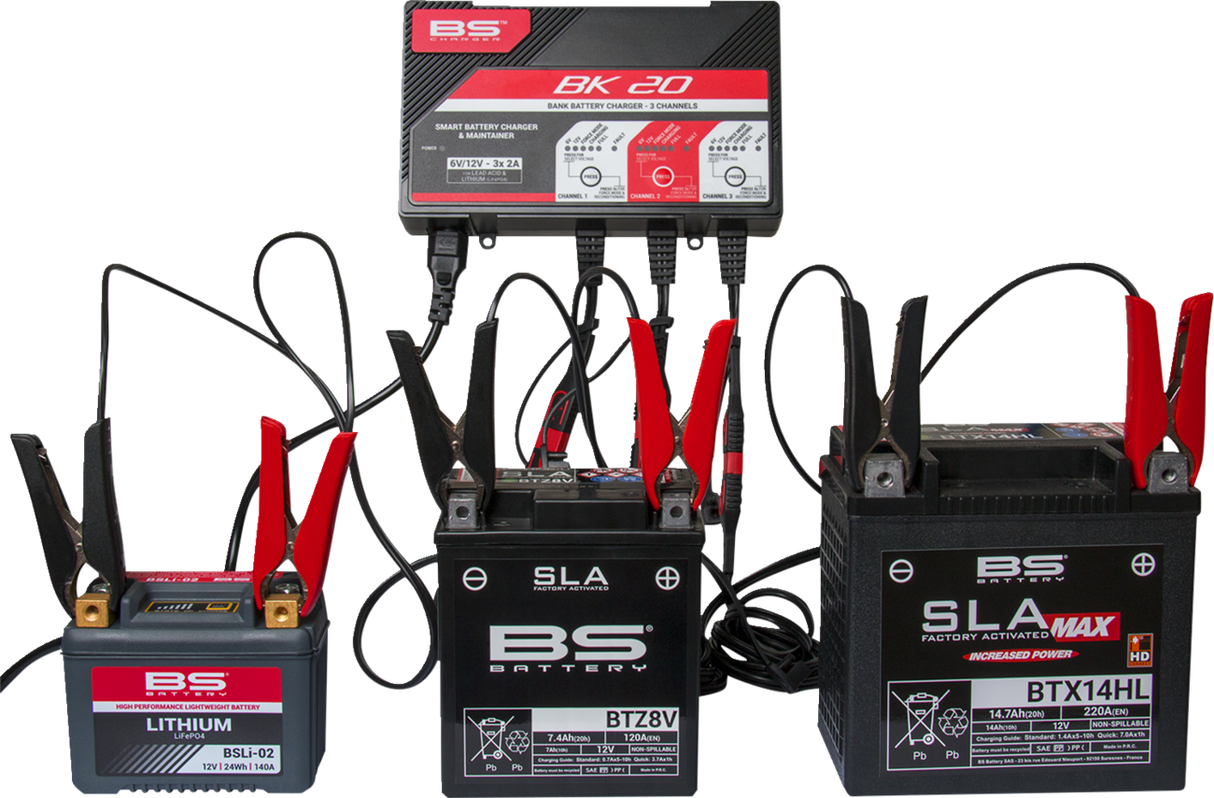 BK20 Smart Bank Battery Charger and Maintainer with Reconditioning Function