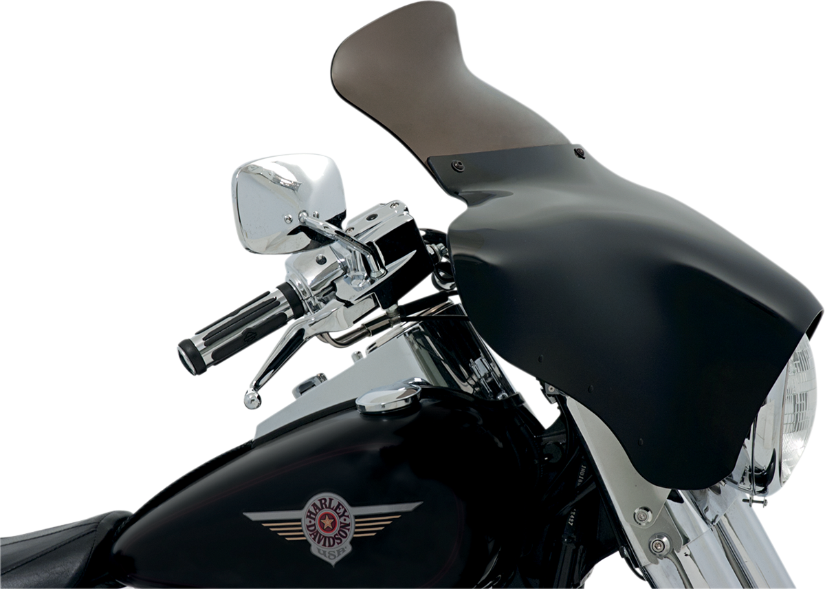 Batwing Spoiler Windshield