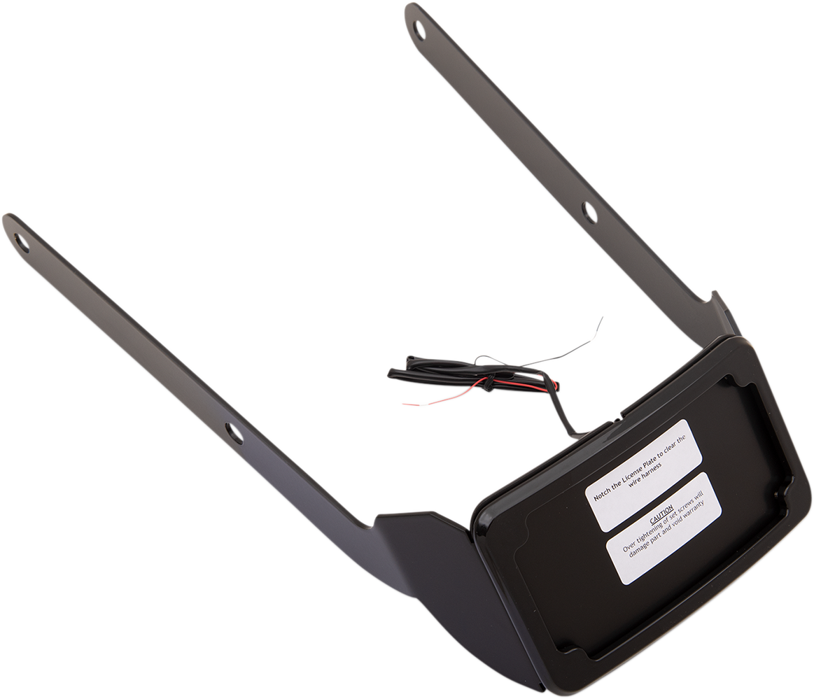 Curved License Mount with Frame