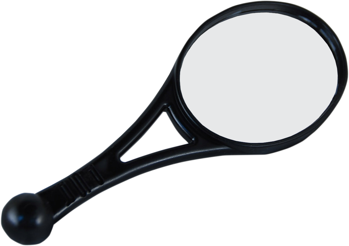 Dual-Sport Mirror