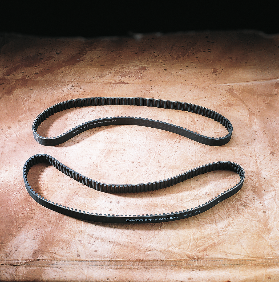 Rear Drive Belt