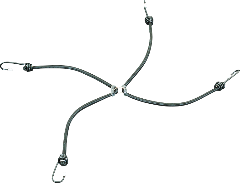 Bungee Cord