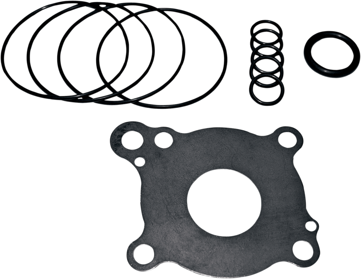 Oil Pump Rebuild Kit