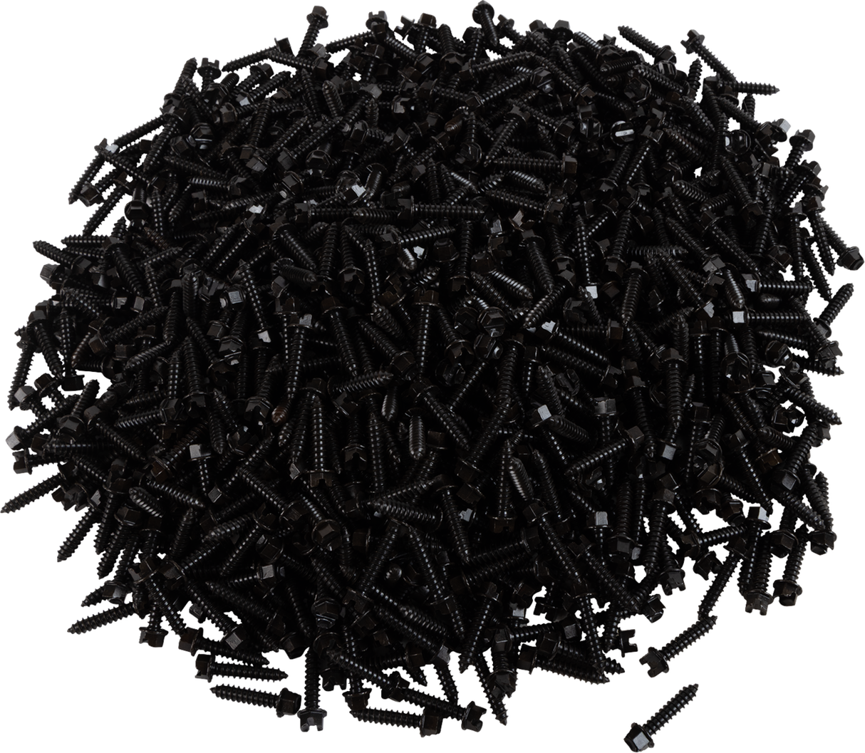 AMA Race Legal Traction Screws