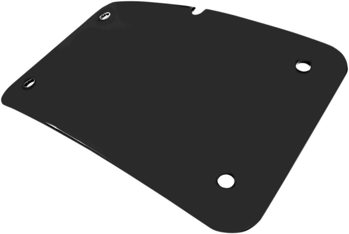 3-Hole License Plate Mount
