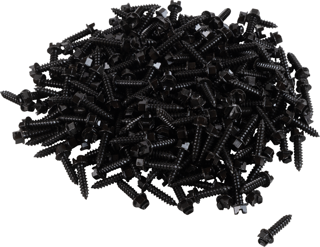 AMA Race Legal Traction Screws