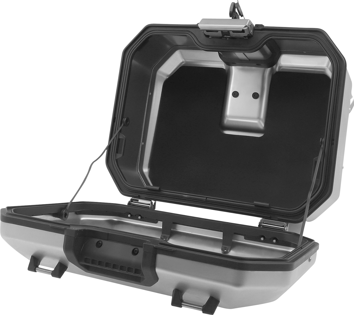 Kenai Case