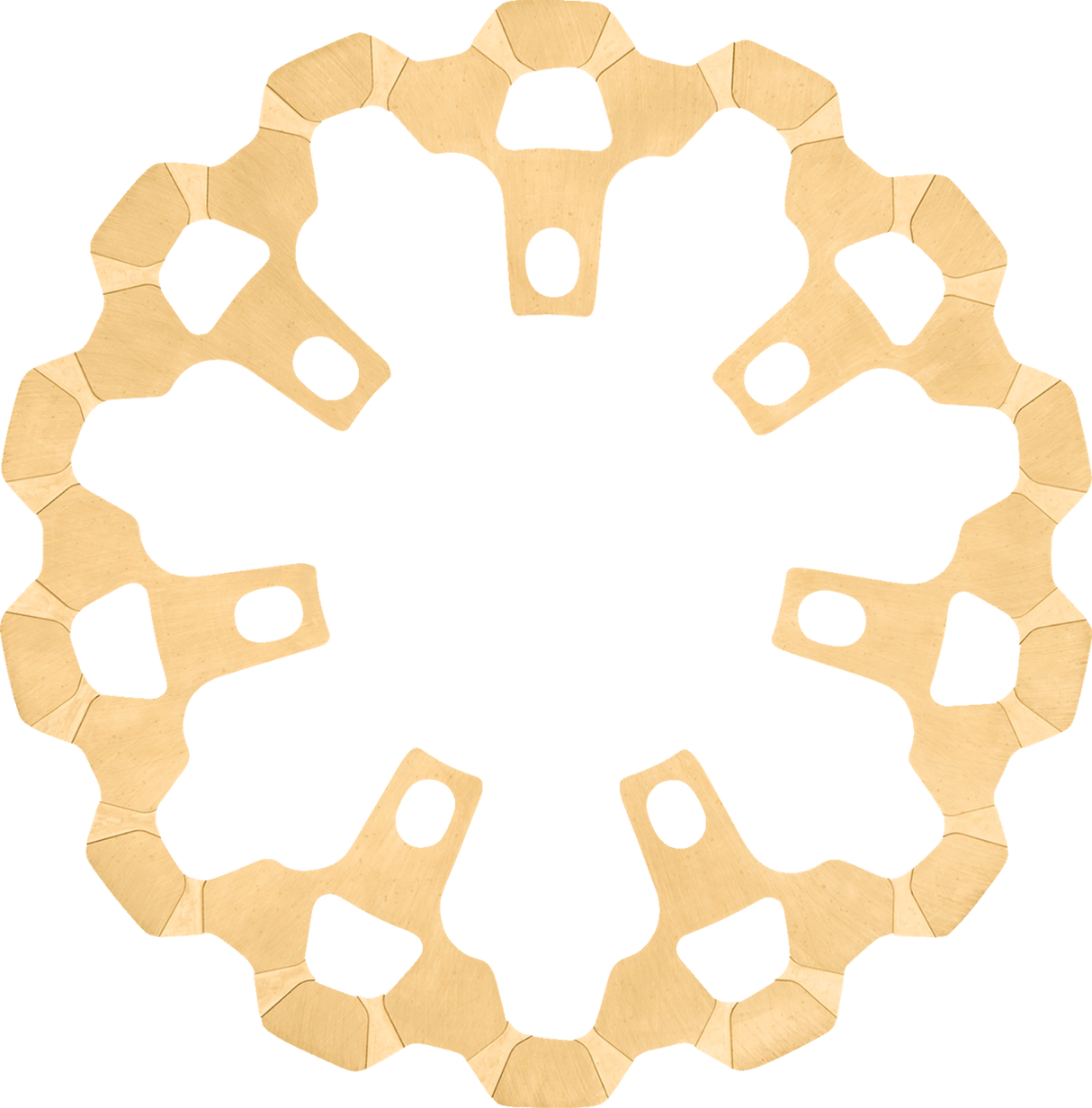 Front Brake Rotor