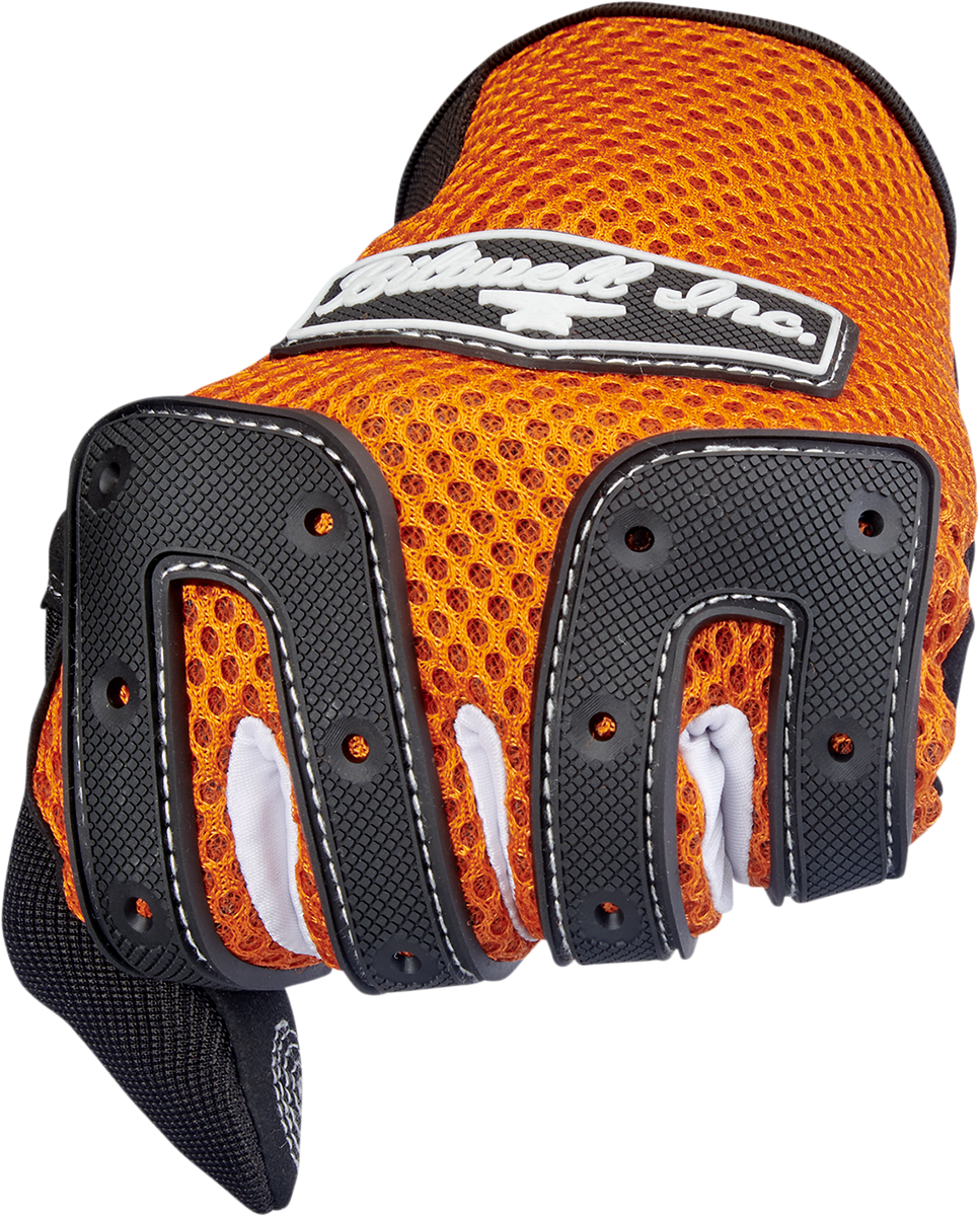 Anza Gloves