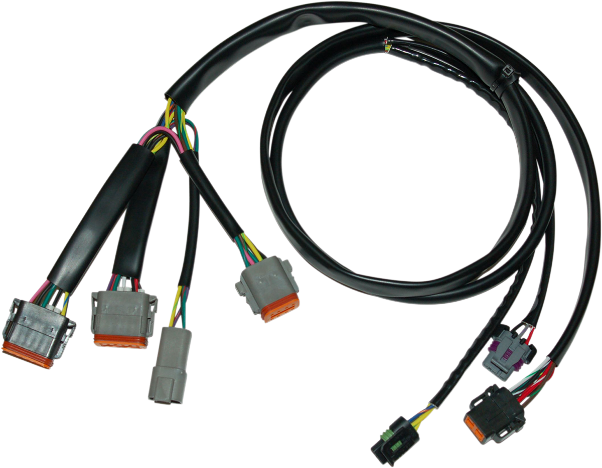 Ignition Wiring Harness