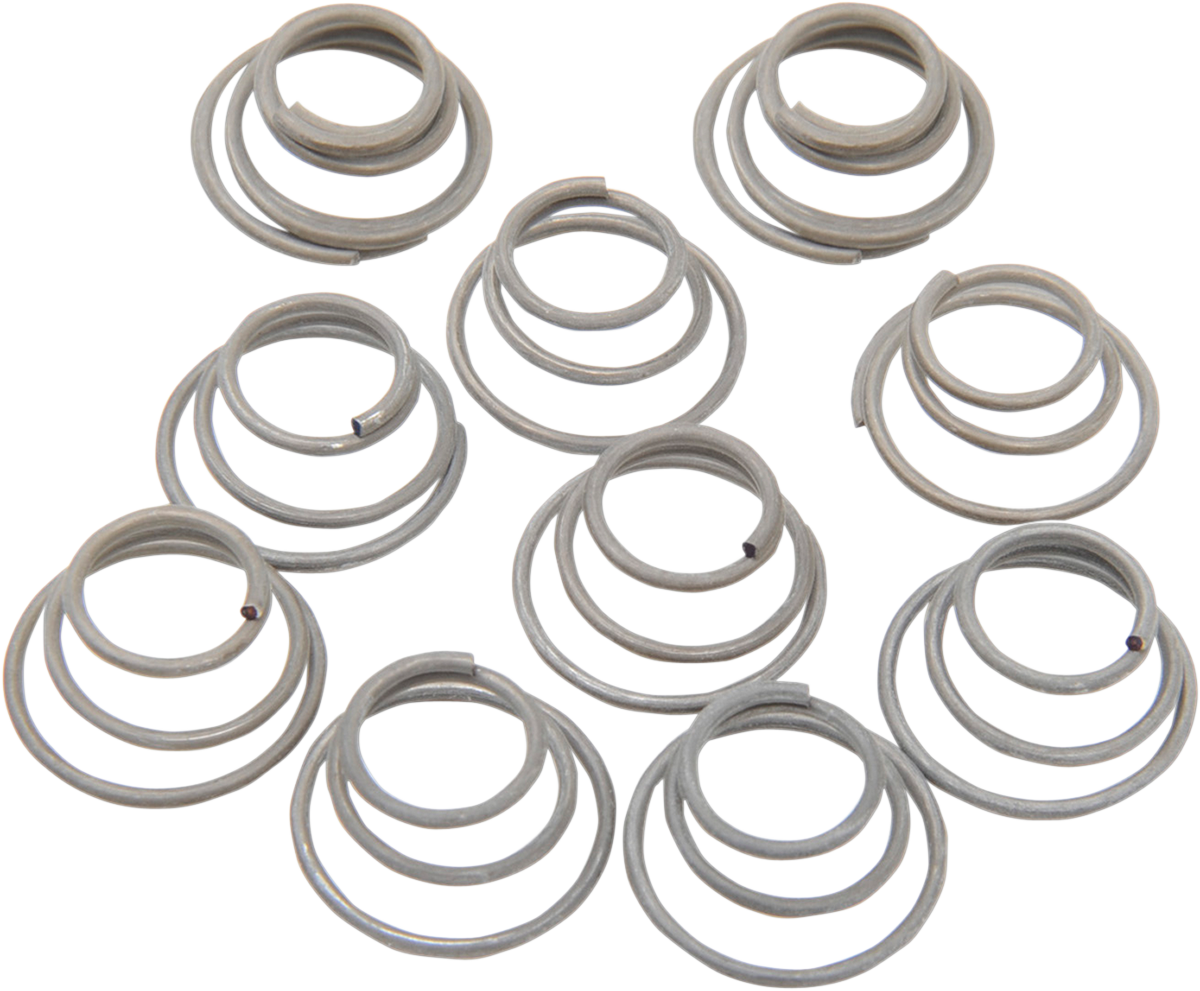 Hub Bearing Plate Retainer Springs