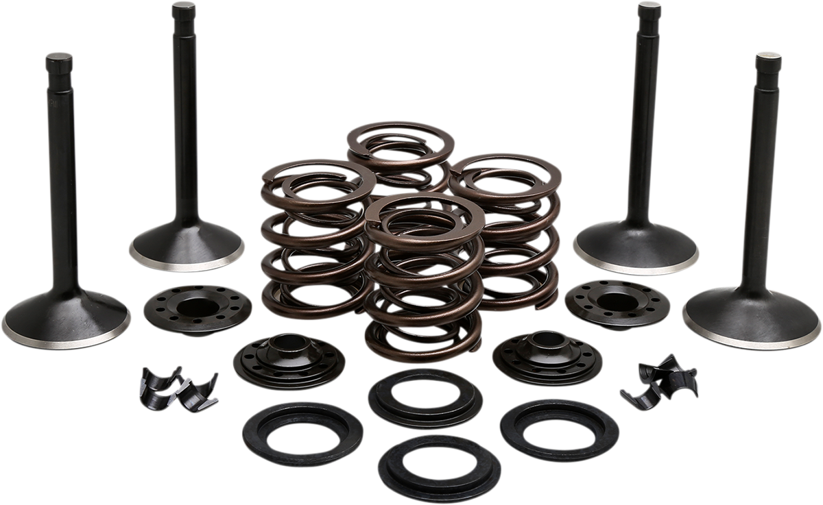 Engine Valve Kit
