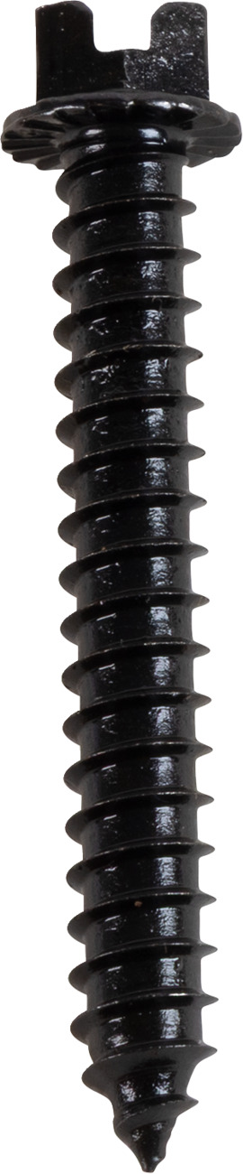 AMA Race Legal Traction Screws
