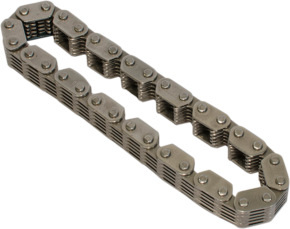 Cam Chain