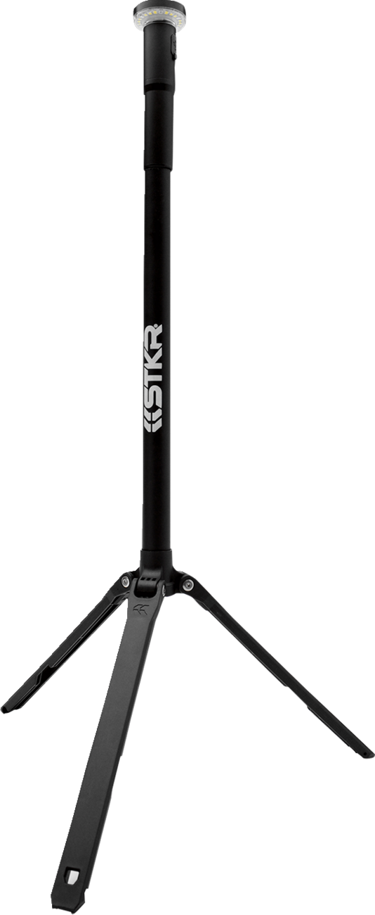 FLi 6.5' Telescoping Area Light