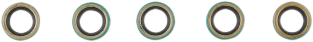 Shifter Shaft Seal