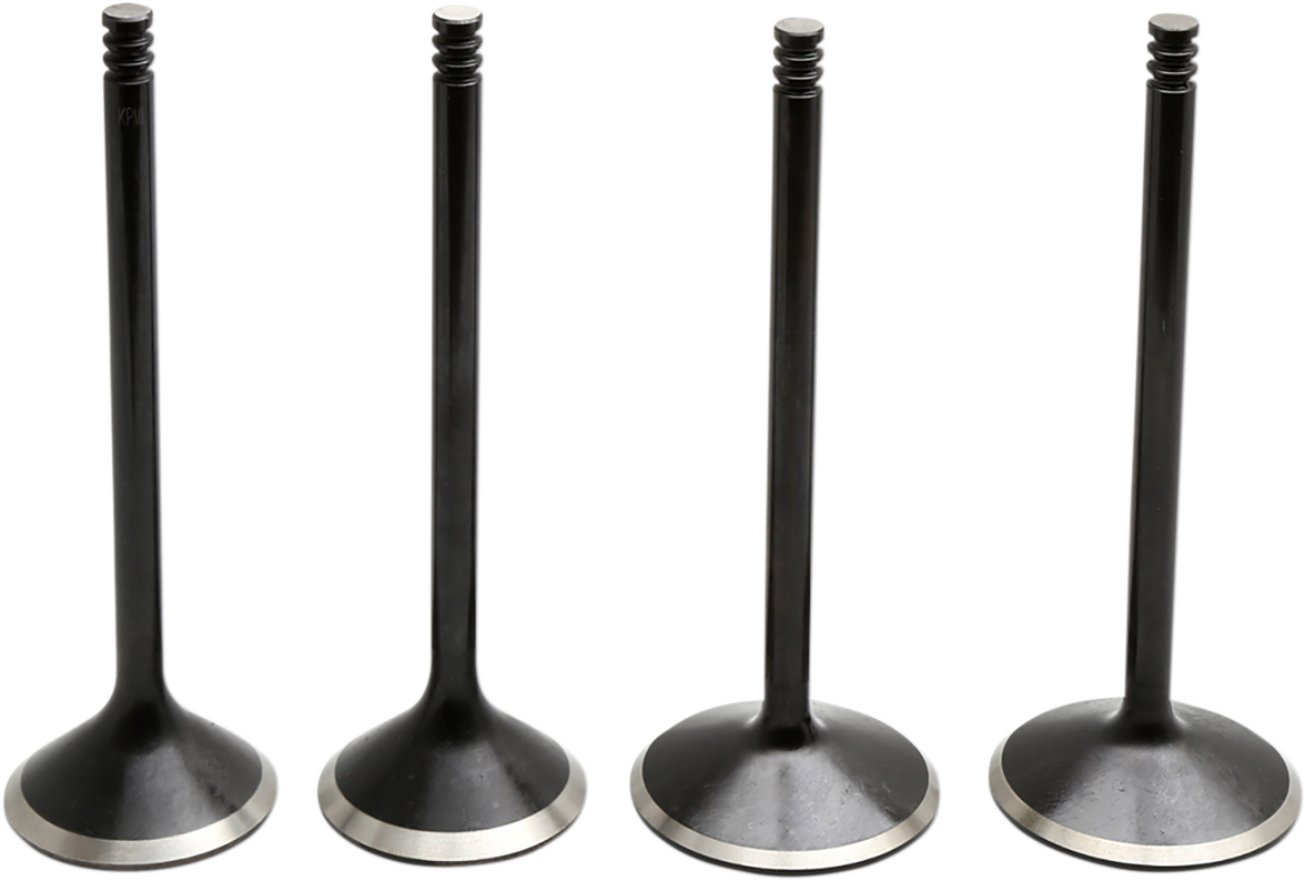 Black Diamond™ Engine Valve Kit