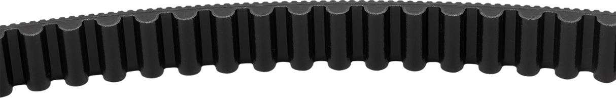 Drive Belt