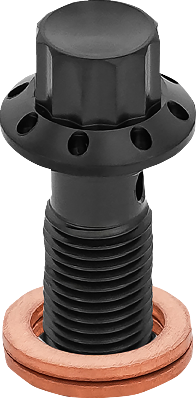 Titanium 12-Point Banjo Bolt