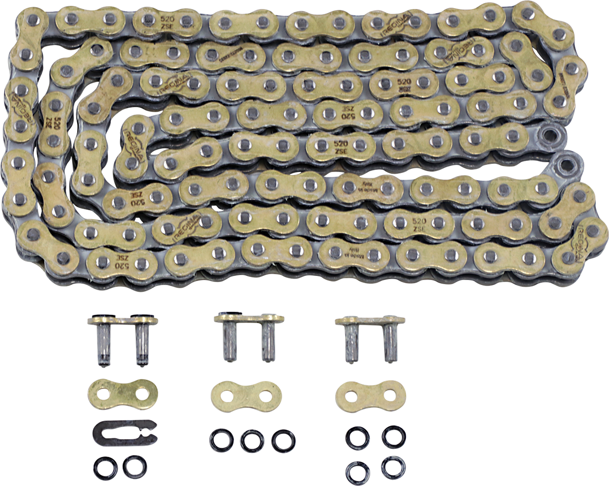 520 ZSE Drive Chain
