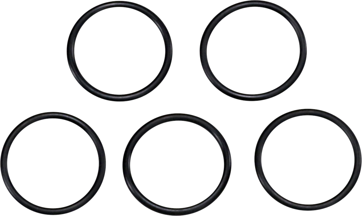 Oil Pump O-Ring