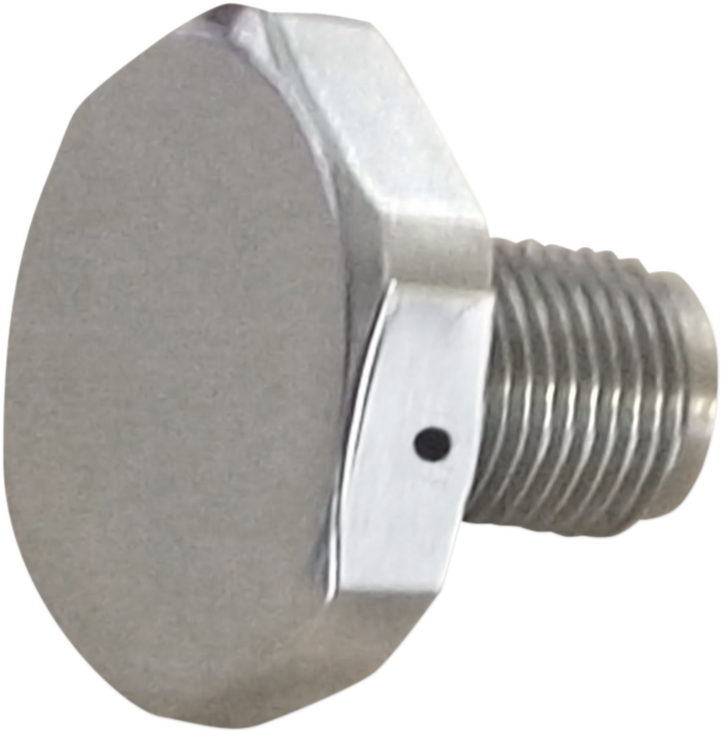 Upper Fork Tube Caps/Bolts — Standard