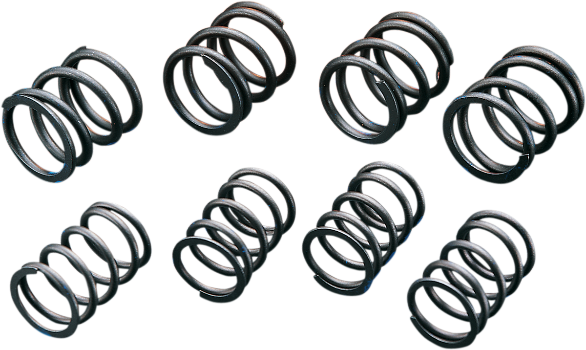 High-Lift Valve Springs