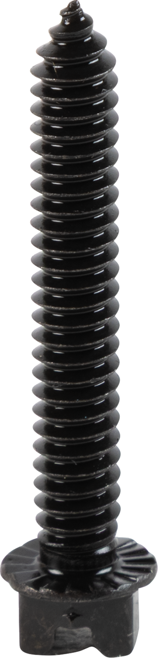 AMA Race Legal Traction Screws