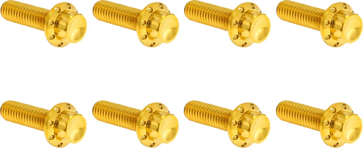 Transmission Trap Door Titanium 12-Point Bolt Kit β For M8 Models