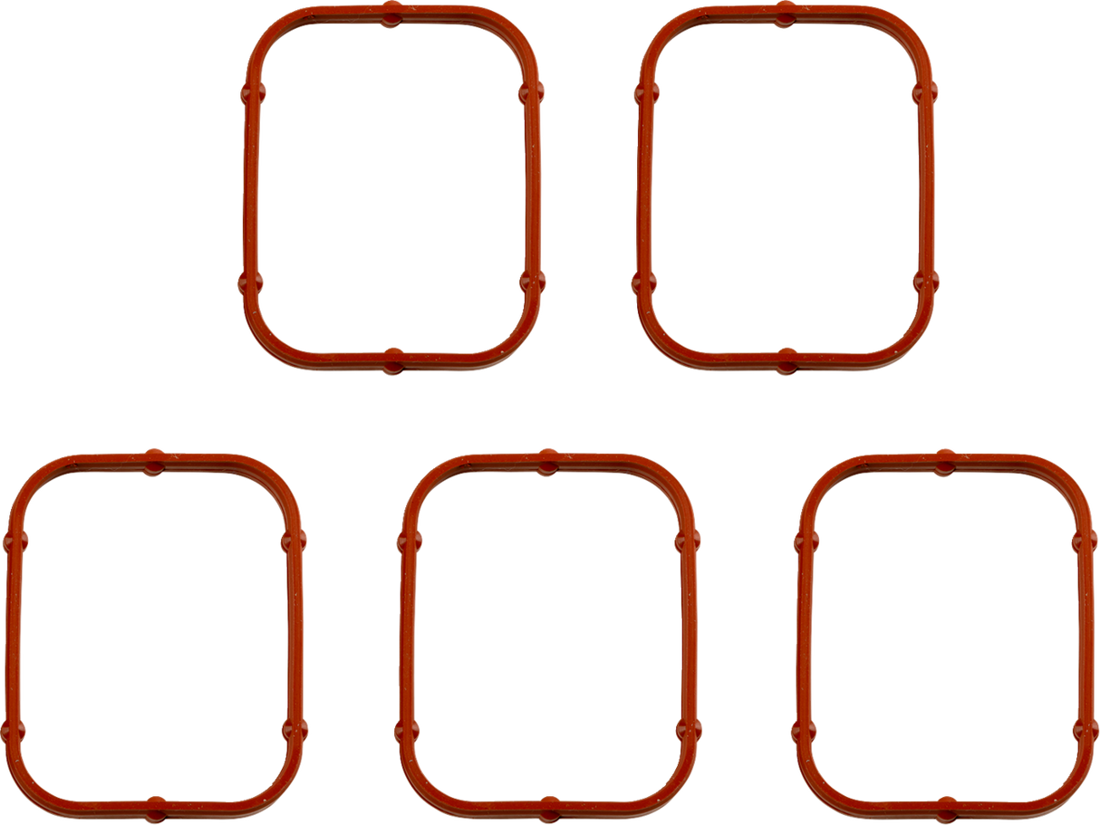 Rocker Gasket