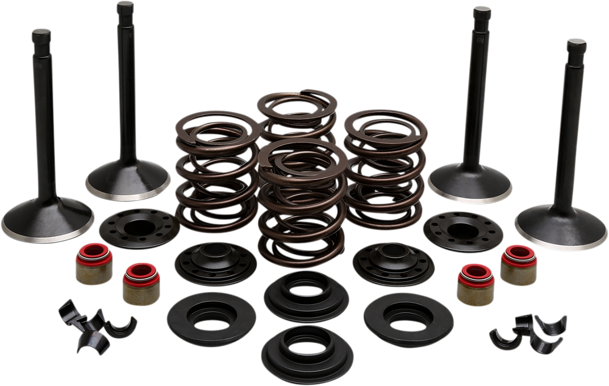 Engine Valve Kit