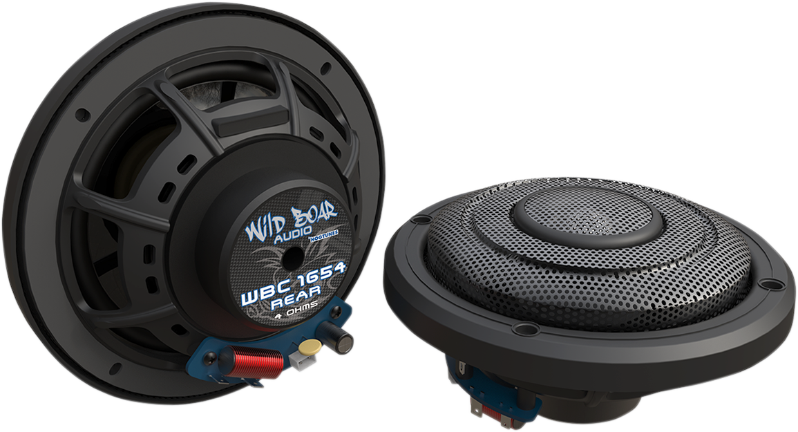 Rear Speakers