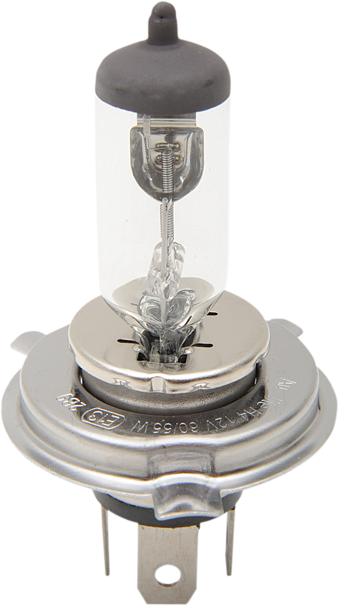 Halogen Headlight Bulb
