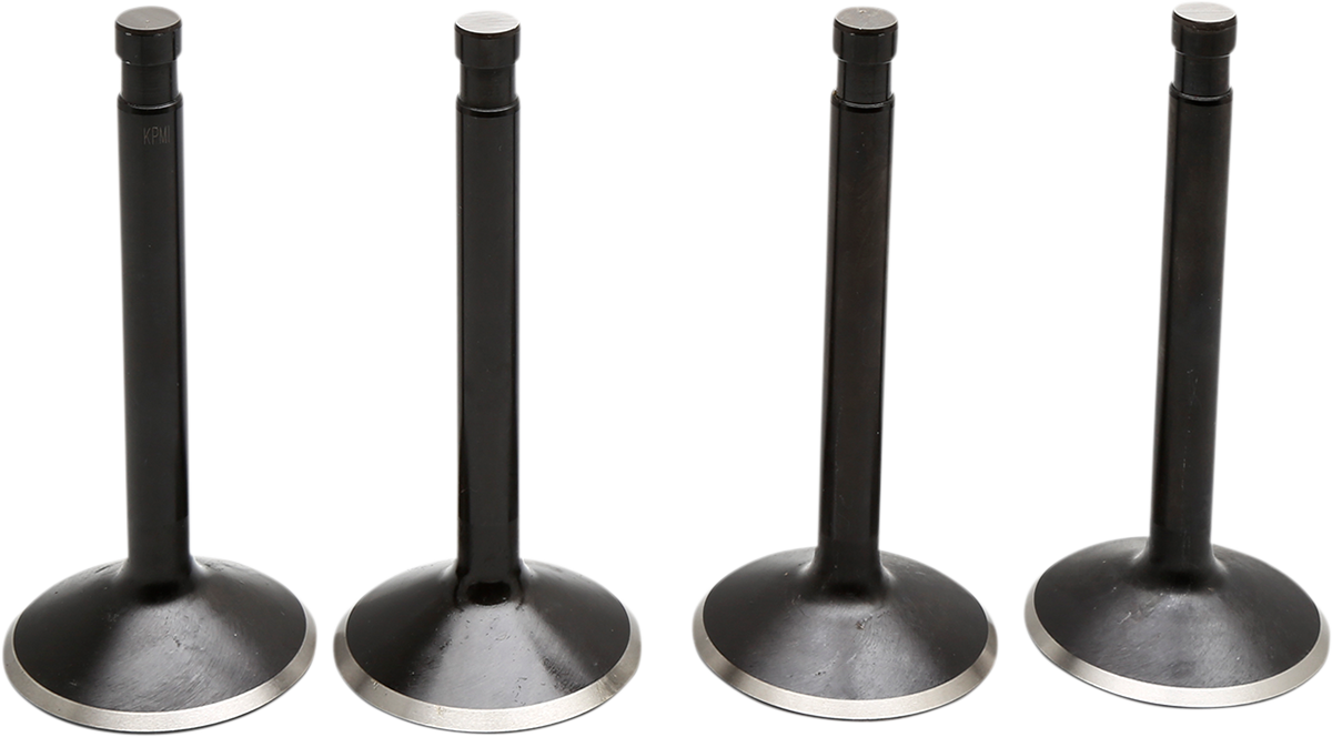 Black Diamond™ Engine Valve Kit