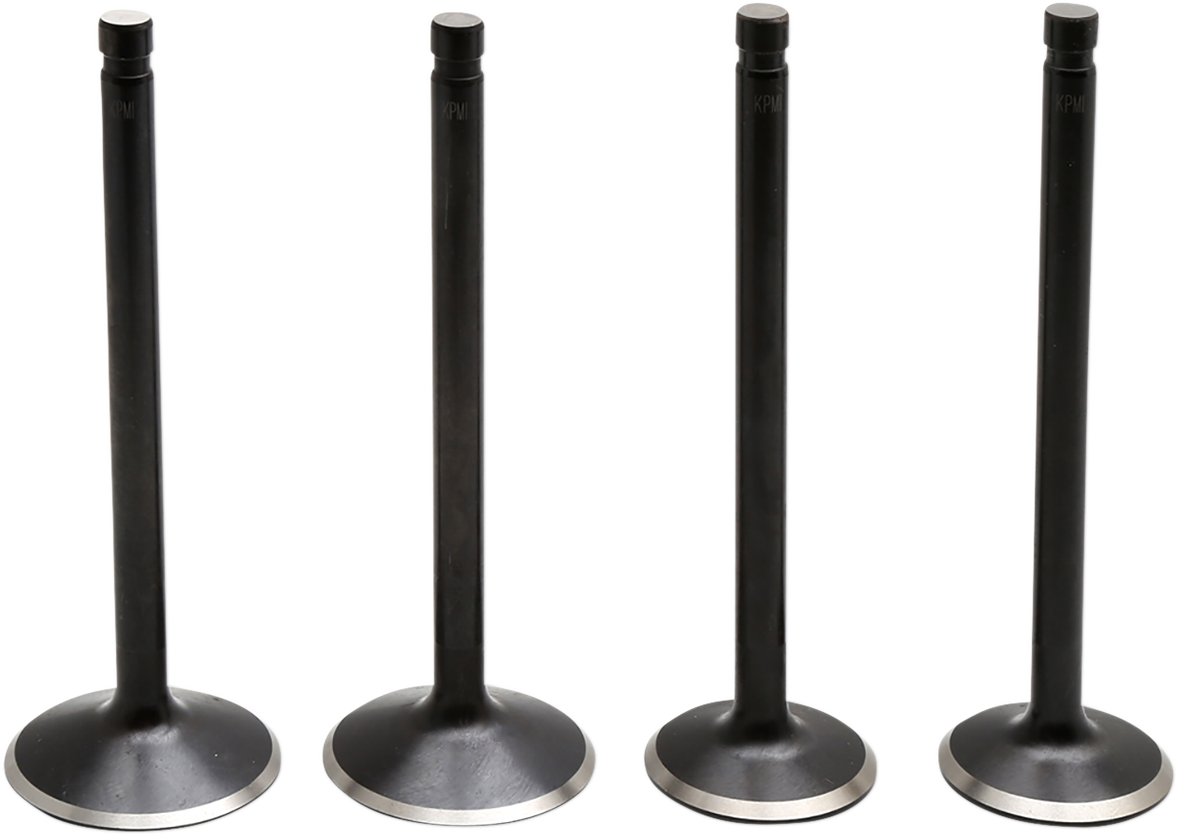 Black Diamond™ Engine Valve Kit