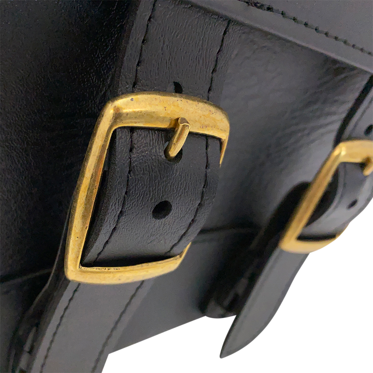 Brass Monkey Slant Saddlebags