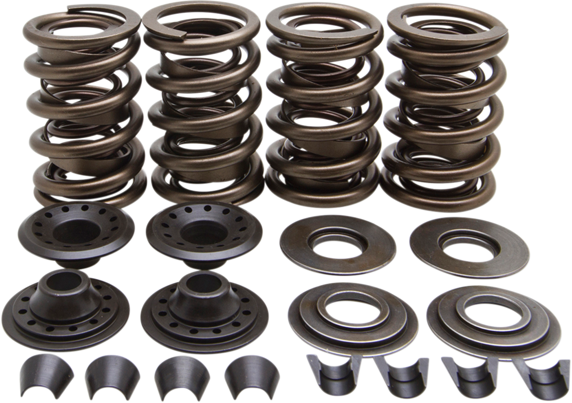 Racing Valve Spring Kit