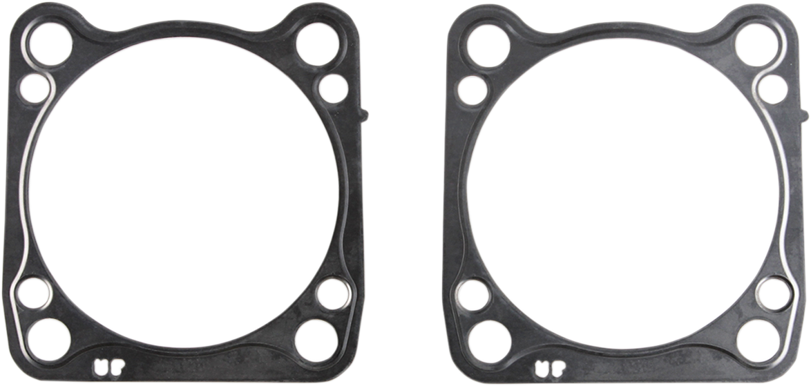 Cylinder Base Gasket