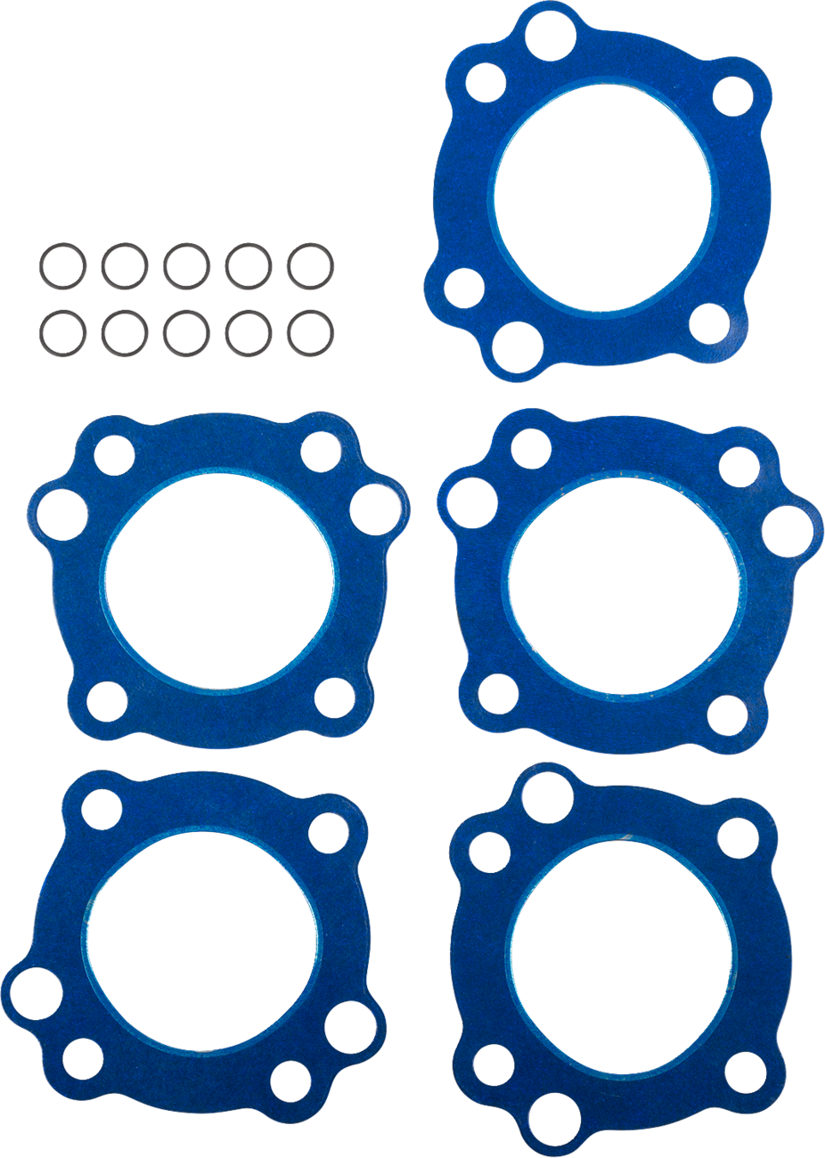 Cylinder Head Gasket/O-Rings