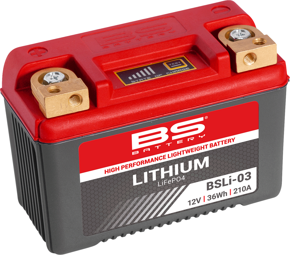 Lithium LiFePO4 Battery