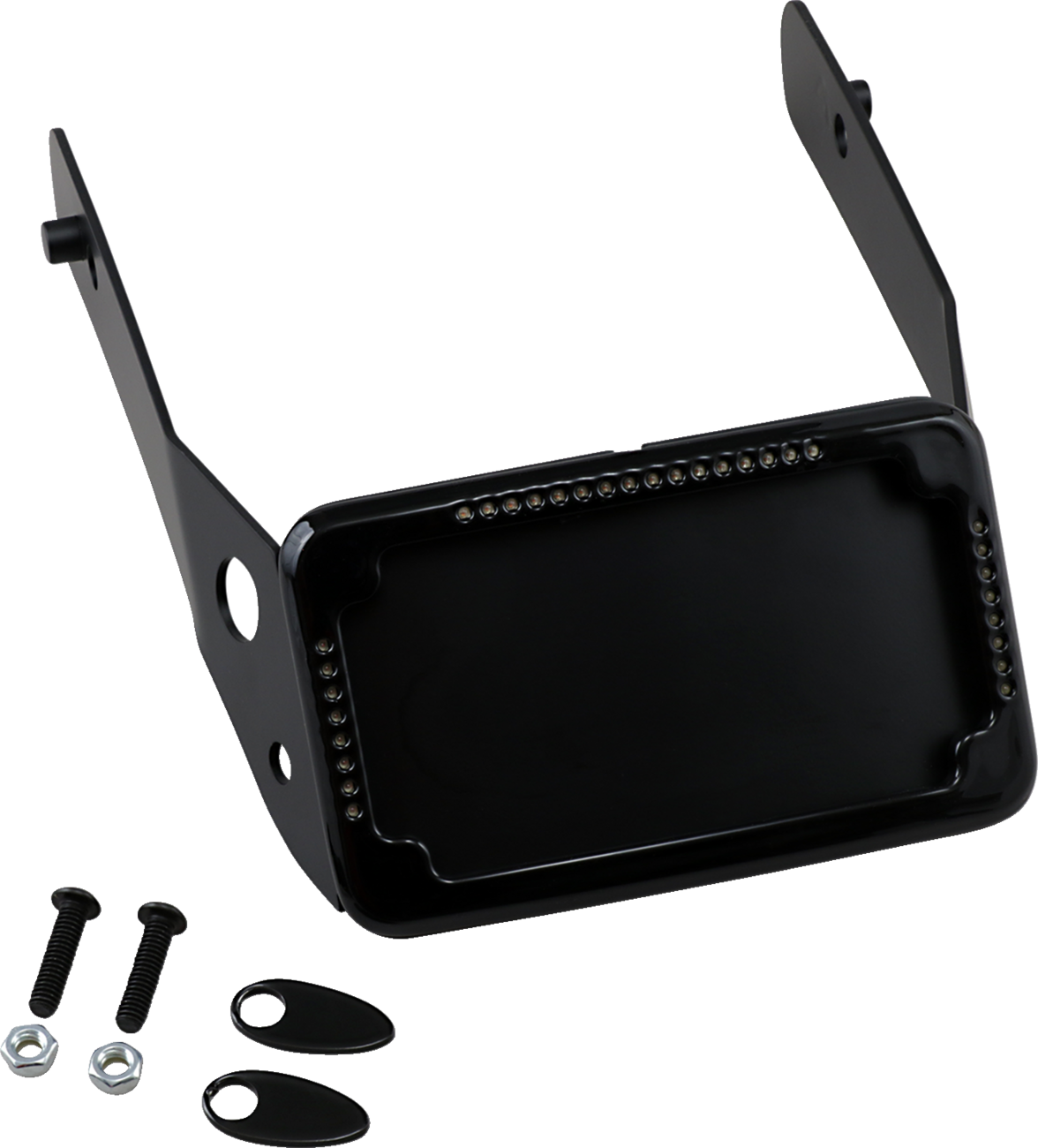 Curved License Mount with Frame